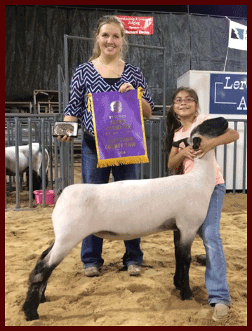 Kaylee Trejo, Colorado County Fair